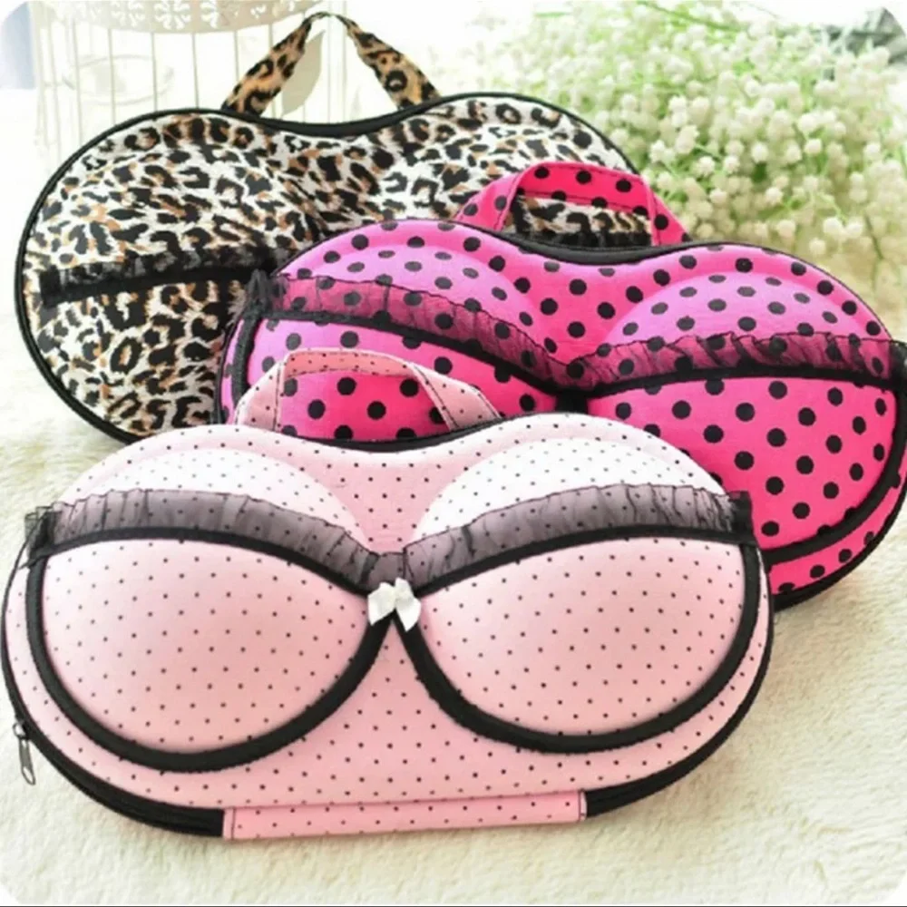 Sexy Bra Bustier Underwear Intimates Storage Box Travel Bag Portable Organizer